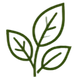leaf icon